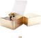Champagne Gold Gift Boxes with Lids 10 Pack 8x8x4 Inches, Parer Bridesmaid Proposal Boxes, Gift Boxes in Bulk for Wedding, Party, Light Weight Gifts (Glossy Champagne Gold, Grain Texture)